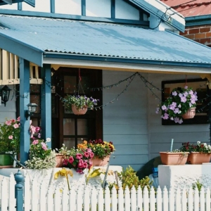 悉尼蓝山自然公园:群像的温暖