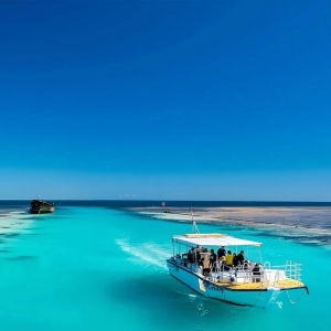 2026澳洲研学单飞招募 | 穿越南半球的夏日奇遇!