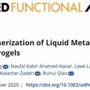 昆士兰大学乔瑞瑞教授团队 AFM:液态金属纳米颗粒赋能高分辨水凝胶3D打印