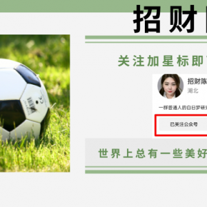 今日公推 周六008 澳超悉尼德比生死战!中央海岸攻防双冠(场均进2.4球失0.8球),悉尼FC42%反击杀招硬刚?