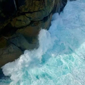 周一301,澳篮联新西兰破坏者VS布里斯班子弹