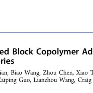 昆士兰大学张承团队 JACS:氟化嵌段聚合物添加剂实现超稳定水系锌离子电池