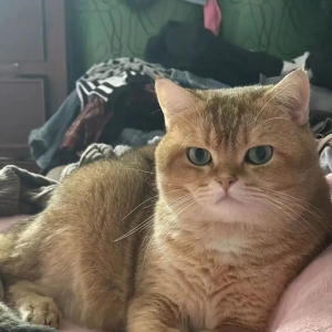 澳洲旅行打包记:退休小姐姐的省心小妙招