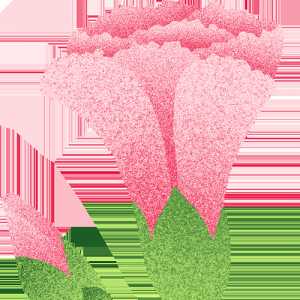 澳洲移民大变局!留学生签证寒冬凛冽,雇主担保却迎来春天?