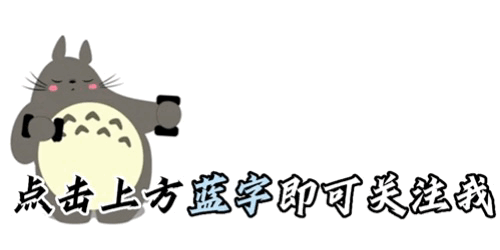 墨尔本胜利vs珀斯光荣