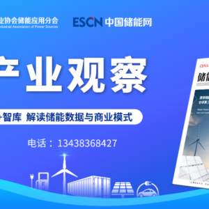 西澳大利亚州政府在最新一轮清洁能源融资中优先支持长时储能系统