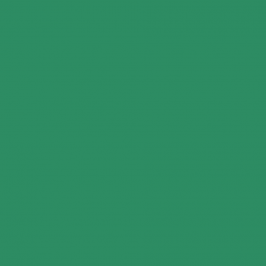 珀斯光荣VS纽卡斯尔:主场抢分VS客场连胜的巅峰碰撞