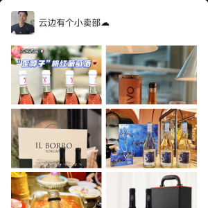 澳洲进口麦克尔Michael西拉干红葡萄酒￥99/两瓶