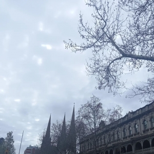 墨尔本皇家植物园:一场永不落幕的自然艺术展