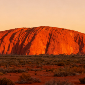 澳洲移民局官网6大隐藏功能,移民必看!