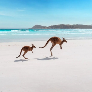 西澳大利亚州旅游局任命韦雨晨女士为中国区市场合作营销经理