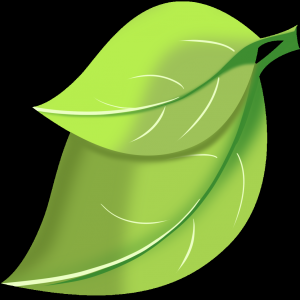 【澳洲移民】澳大利亚移民局正式实施407培训签证程序性改革