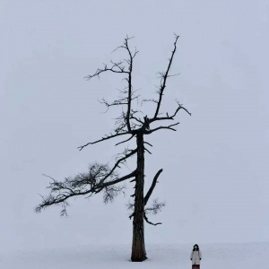 澳洲海归职场生存:从留学现实到国内职场破局
