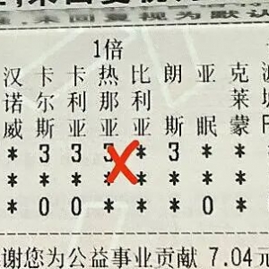 布里斯班VS凤凰