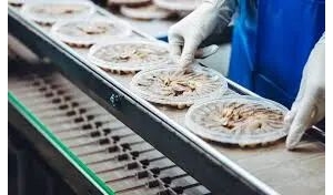 澳洲移民必看:四大职业评估路径全解析,总有一条适合你!
