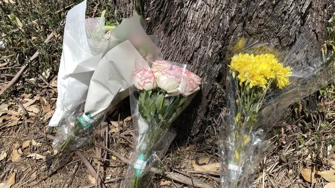 Flowers left at the scene of the crash. Picture: Iwan Jones